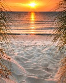 Beachy Summer Days