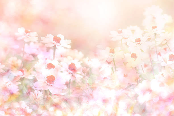 FLOWERS IN BLOOM